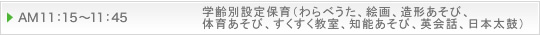 AM11：15～11：45 学齢別設定保育（わらべうた、絵画、造形あそび、体育あそび、すくすく教室、知能あそび、英会話、日本太鼓）